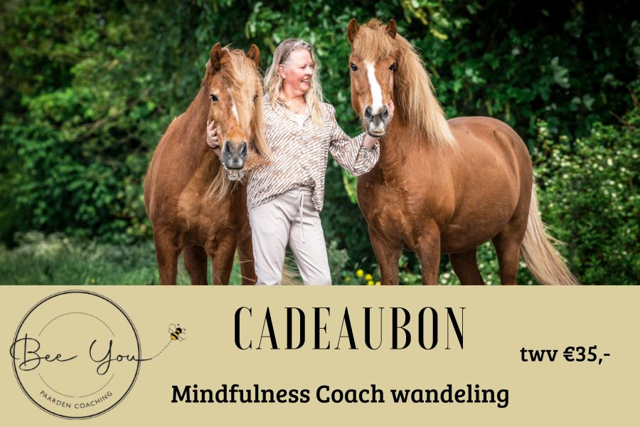 mindfulness wandeling