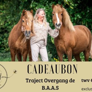 Cadeaubon - Traject overgang de B.A.A.S.