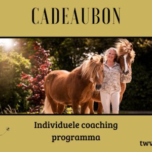 Individuele Coaching Programma