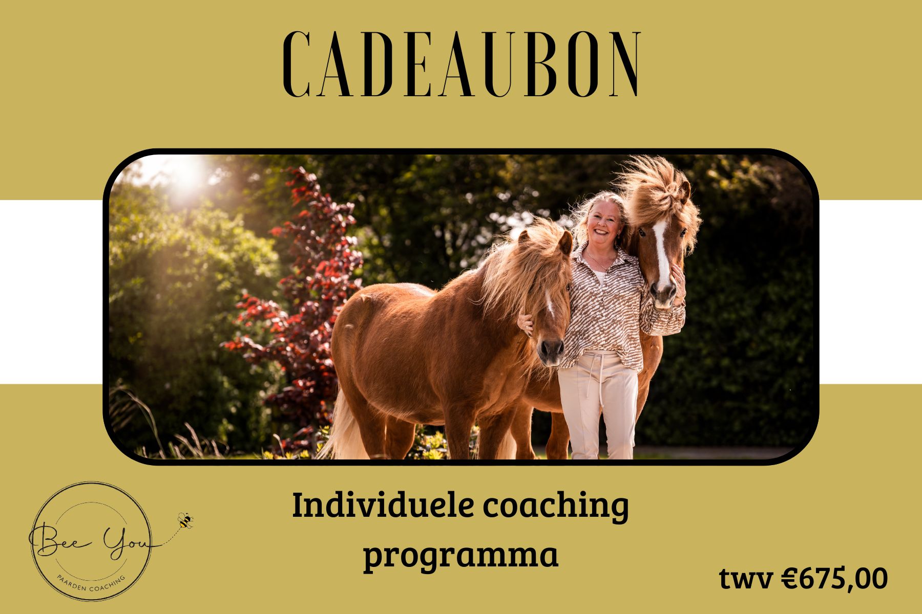 Traject Overgang de BAAS