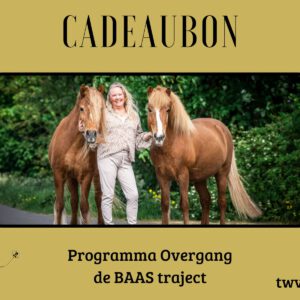 Programma Overgang de Baas-traject