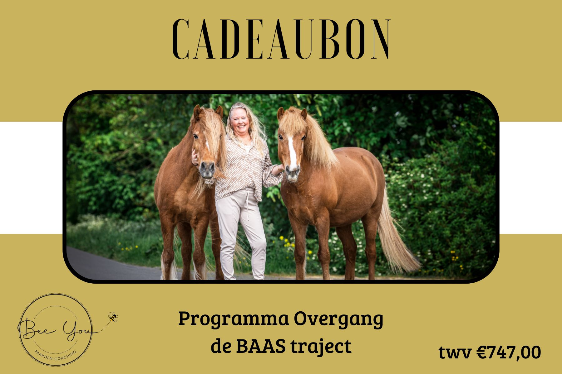 Traject Overgang de BAAS (2)